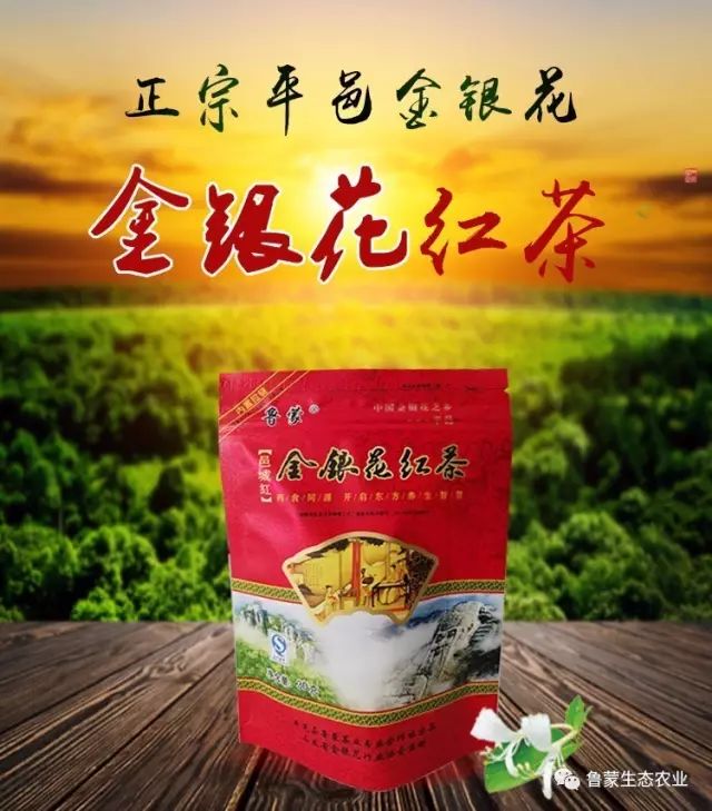 云头山上春来早，金银花儿已发芽！你家的金银花发芽了吗？