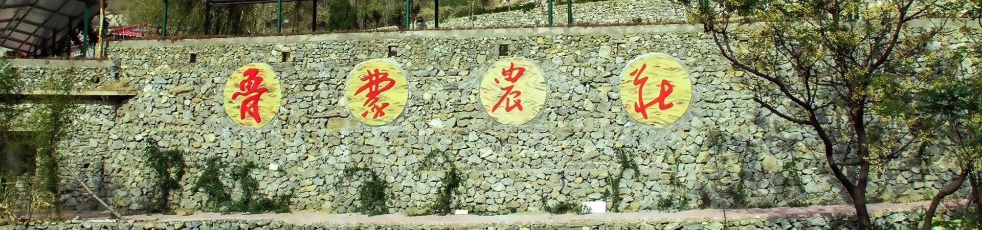banner banner