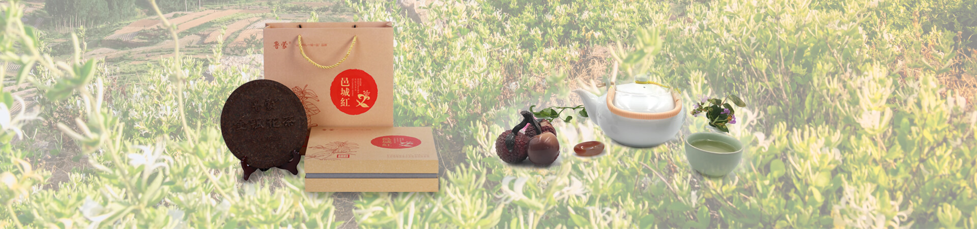 banner banner